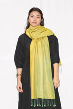 Load image into Gallery viewer, Silky Water Pashmina