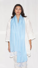 Load image into Gallery viewer, Silky Water Pashmina