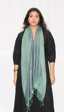 Load image into Gallery viewer, Silky Water Pashmina