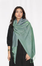 Load image into Gallery viewer, Silky Water Pashmina